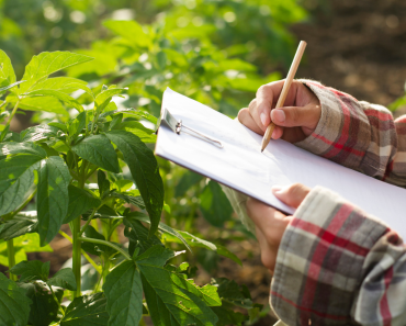 gurukul foundation agristudy
